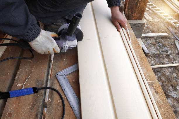 Best Aluminum Siding Installation  in Douglas, GA